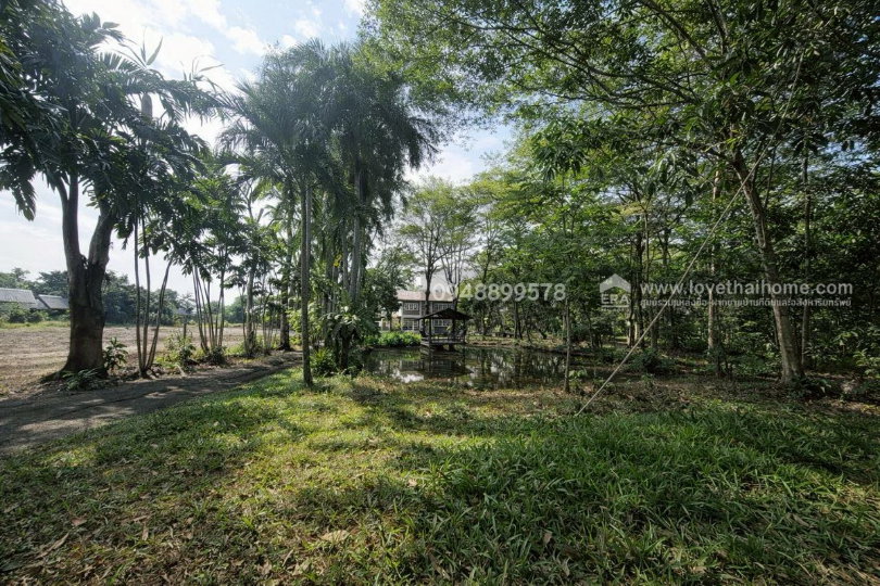 รูป ขายด่วนที่ดินพร้อมบ้าน ติดถนนประชาสำราญ - รูปที่ 12/20