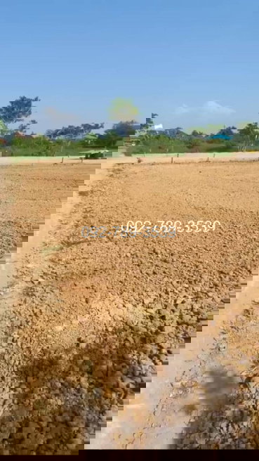 รูป ขายที่ดินเมืองพิษณุโลก 378 ตร.วา ถ.ชัยบุรี1 ใกล้วัดอรัญญิก พิษณุโลก - รูปที่ 9/12