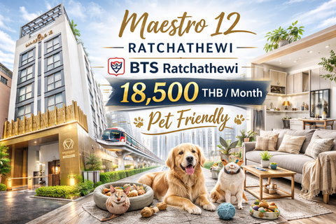รูปภาพ 🍀🍀 🐶Pet Friendly🐱 Rare Unit❤️🔥 ให้เช่า📌 มาเอสโตร 12 ราชเทวี(Line: @rent2022) 🚆BTSราชเทวี พร้อมเข้าอยู่ 🔖A10900