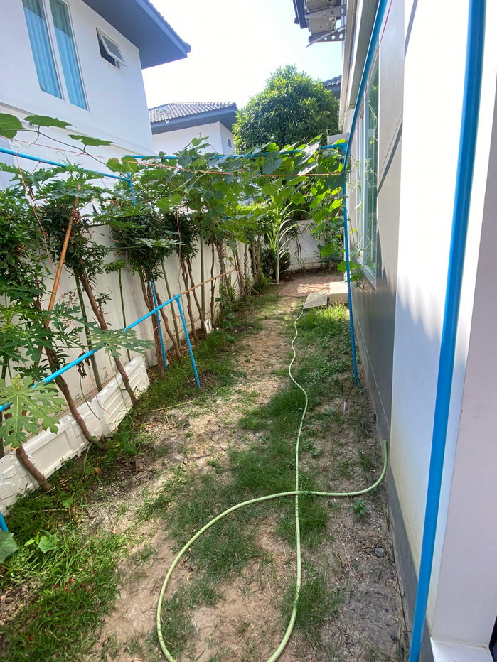 รูป ขาย บ้านเดี่ยว Mantana Srinakarin – Romklao 145 ตรม. 51 ตร.วา 3นอน 3น้ำ สภาพดีเยี่ยม(เจ้าของขายเอง) - รูปที่ 9/10