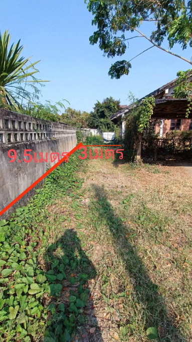 รูป 🔥บ้านทำเลดี ในตัวเมือง หลังโรงเรียนปริ้นซ์🌿 - รูปที่ 13/13