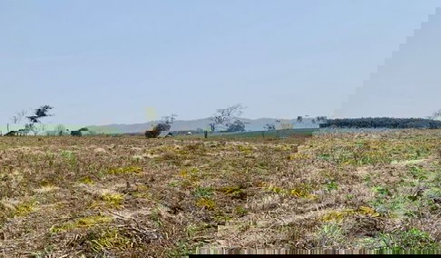 ขายที่ดิน 100 ไร่ อ.เวียงเชียงรุ้ง จ.เชียงราย