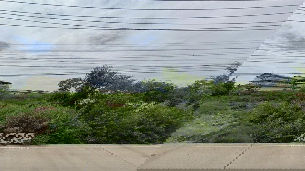 รูป ขายที่ดินเปล่าติดถนนเลียบคลองสรรพสามิต เนื้อที่ 21-1-63 ไร่ รหัส 00159285 - รูปที่ 3/4