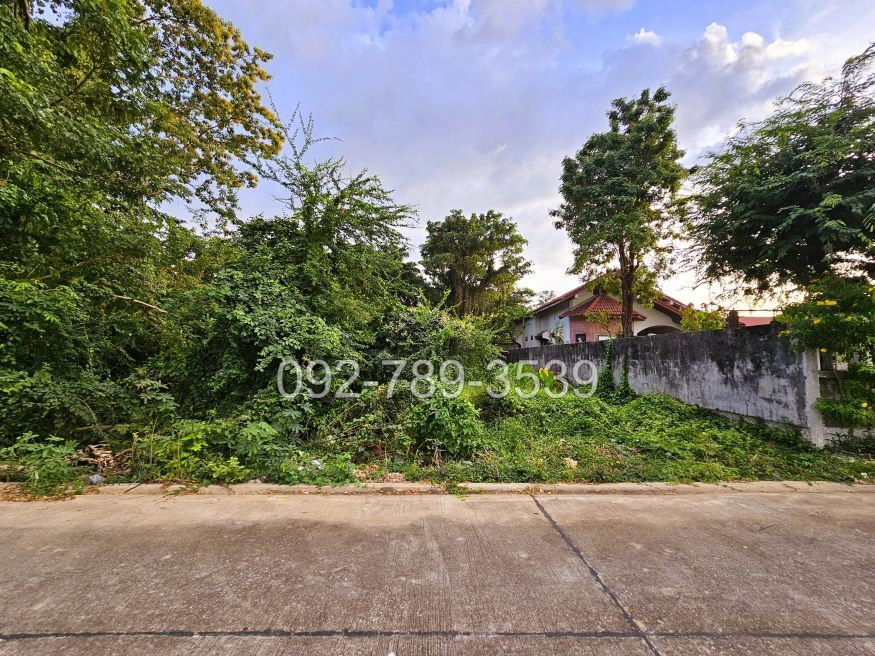 รูป ขายที่ดินเมืองพิษณุโลก 378 ตร.วา ถ.ชัยบุรี1 ใกล้วัดอรัญญิก พิษณุโลก - รูปที่ 1/12