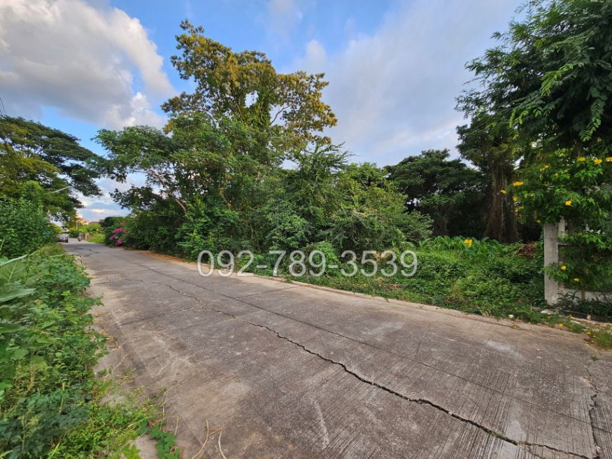 รูป ขายที่ดินเมืองพิษณุโลก 378 ตร.วา ถ.ชัยบุรี1 ใกล้วัดอรัญญิก พิษณุโลก - รูปที่ 2/12