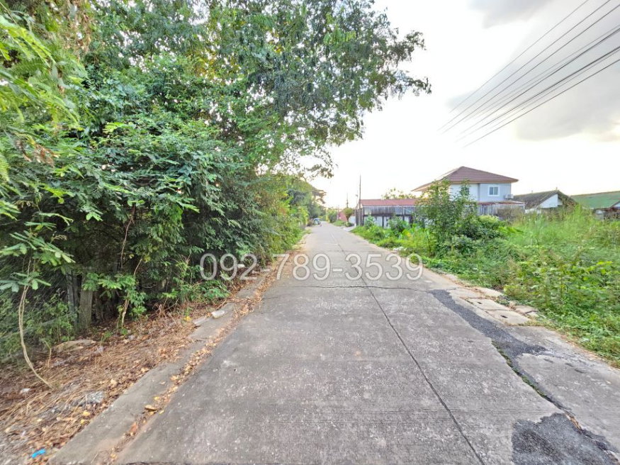 รูป ขายที่ดินเมืองพิษณุโลก 378 ตร.วา ถ.ชัยบุรี1 ใกล้วัดอรัญญิก พิษณุโลก - รูปที่ 4/12