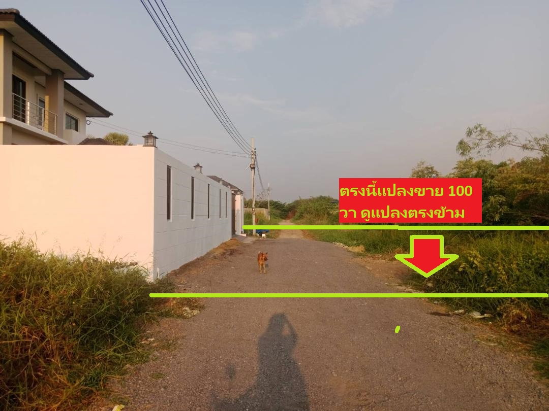รูป ขายที่ดินจัดสรร100 ตารางวาน้ำ ไฟ ถนนครบพหลโยธิน 54/1แยก 8-4-3 ซอยตาลเดี่ยวมีสวยหลายแปลงแปลงนี้ 100 วาสวยสุดๆตรงข้ามบ้านใหม่ - รูปที่ 5/21