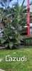 listing thumbnail image 8