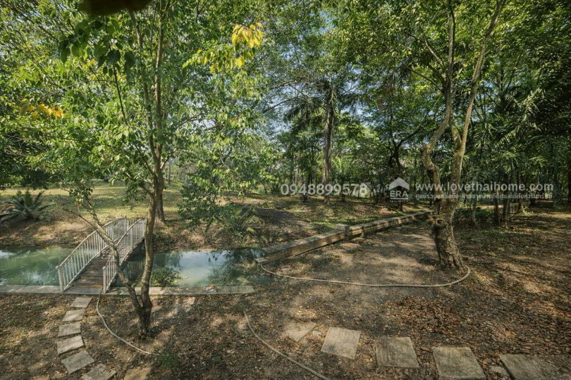 รูป ขายด่วนที่ดินพร้อมบ้าน ติดถนนประชาสำราญ - รูปที่ 13/20