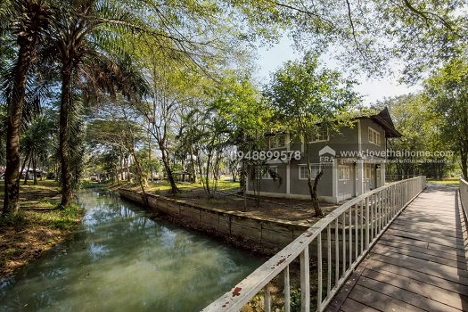 รูป ขายด่วนที่ดินพร้อมบ้าน ติดถนนประชาสำราญ - รูปที่ 11/20