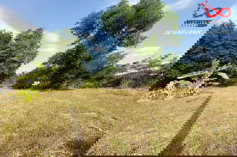 รูป ขายที่ดิน 153.4 ตรว. หมู่บ้านเทพธารินทร์ รังสิต-นครนายก คลอง11 ธัญบุรี ปทุมธานี - รูปที่ 4/6