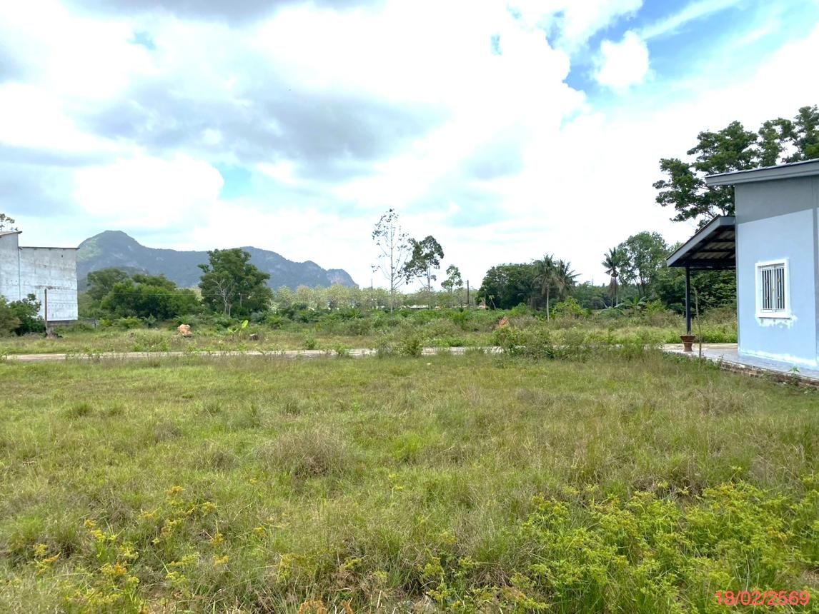 รูป ที่ดินว่างเปล่า 58 ตร.วา ควนขนุน พัทลุง 725,000 - รูปที่ 10/14