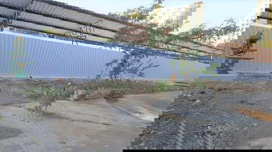 รูป ให้เช่าบ้าน เนื้อที่ 237 ตรว.บางนา กทม. - รูปที่ 4/4