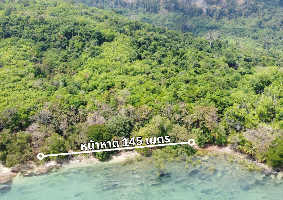 รูป ขายที่ดินบนเกาะมุก ตำบลเกาะลิบง อำเภอกันตัง จังหวัดตรัง - รูปที่ 4/8