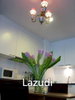 listing thumbnail image 2
