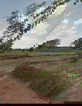 ขายที่ดินเปล่า ใกล้พุทธสถานราชธานีอโศก จ.อุบลราชธานี