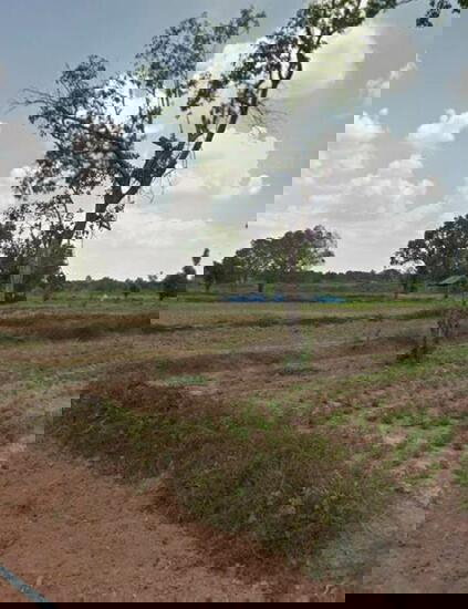 รูป ขายที่ดินเปล่า ใกล้พุทธสถานราชธานีอโศก จ.อุบลราชธานี - รูปที่ 1/4