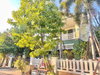 listing thumbnail image 13