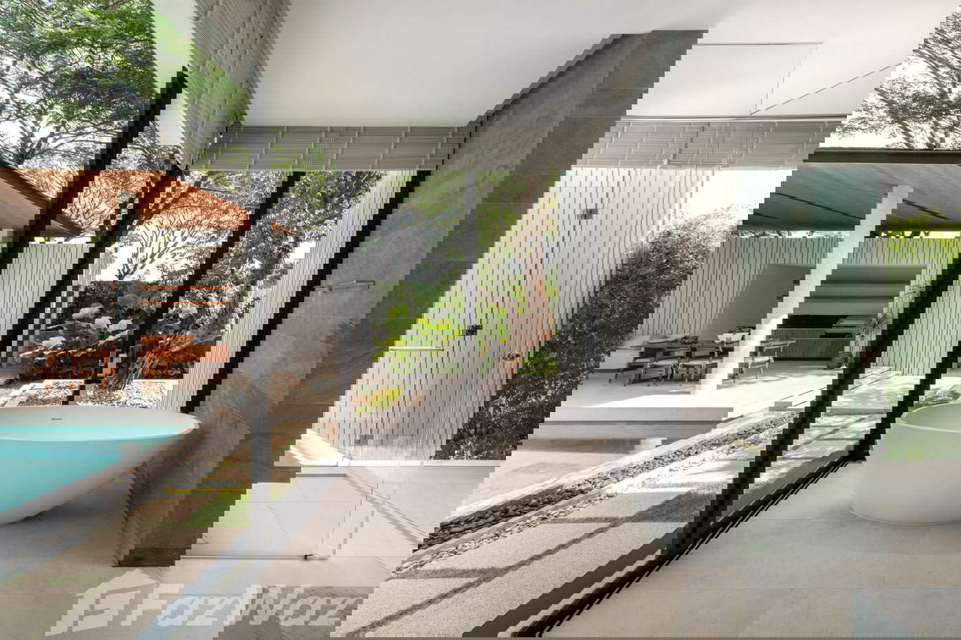 picture Botanica Foresta 1945058 - 13/27