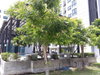 listing thumbnail image 12