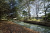 listing thumbnail image 13