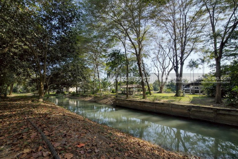 รูป ขายด่วนที่ดินพร้อมบ้าน ติดถนนประชาสำราญ - รูปที่ 14/20