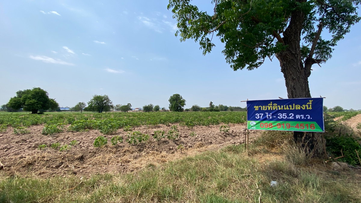 รูป ขายที่ดินเปล่า เนื้อที่ 37 ไร่ 35.2 ตารางวา ต.สระลงเรือ อ.ห้วยกระเจา จ.กาญจนบุรี  - รูปที่ 12/12