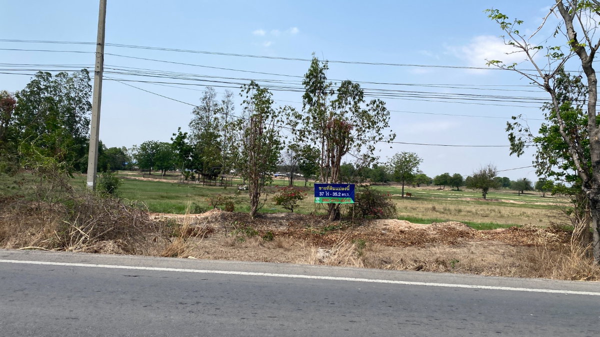 รูป ขายที่ดินเปล่า เนื้อที่ 37 ไร่ 35.2 ตารางวา ต.สระลงเรือ อ.ห้วยกระเจา จ.กาญจนบุรี  - รูปที่ 7/12