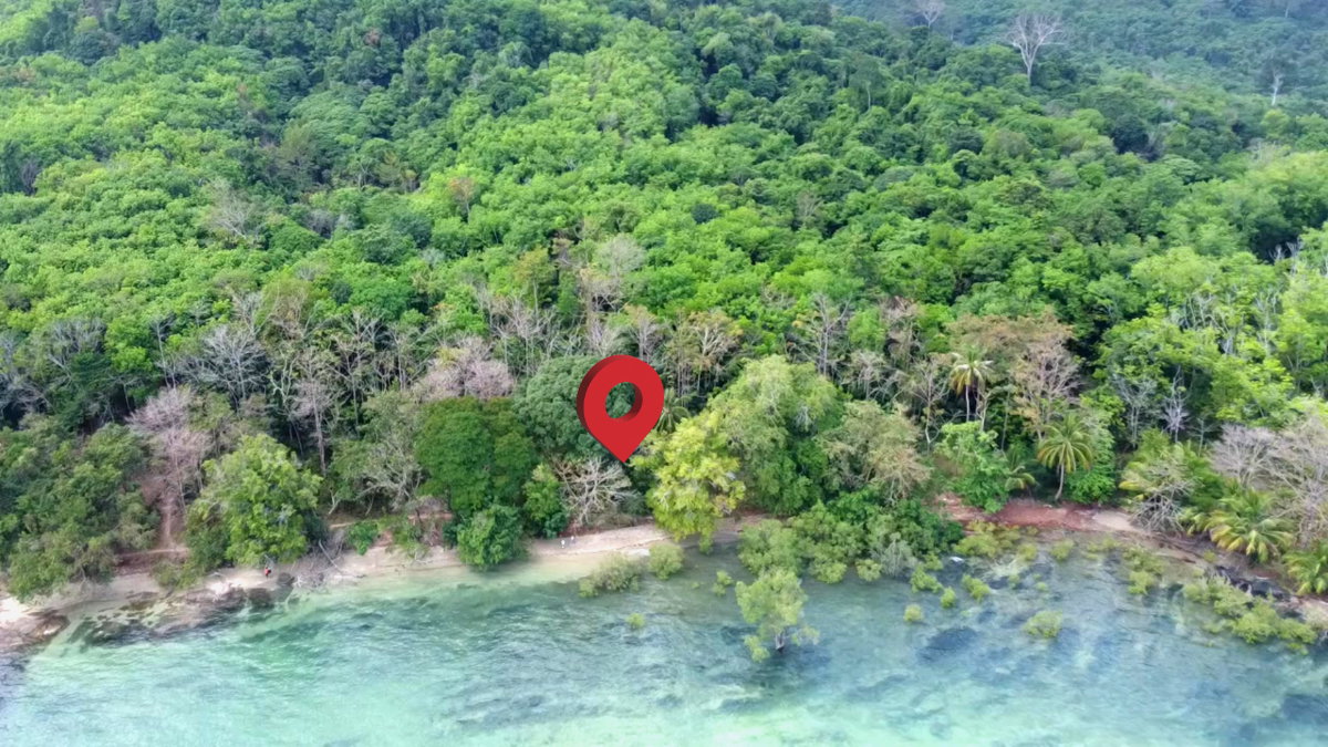 รูป ขายที่ดินบนเกาะมุก ตำบลเกาะลิบง อำเภอกันตัง จังหวัดตรัง - รูปที่ 5/8