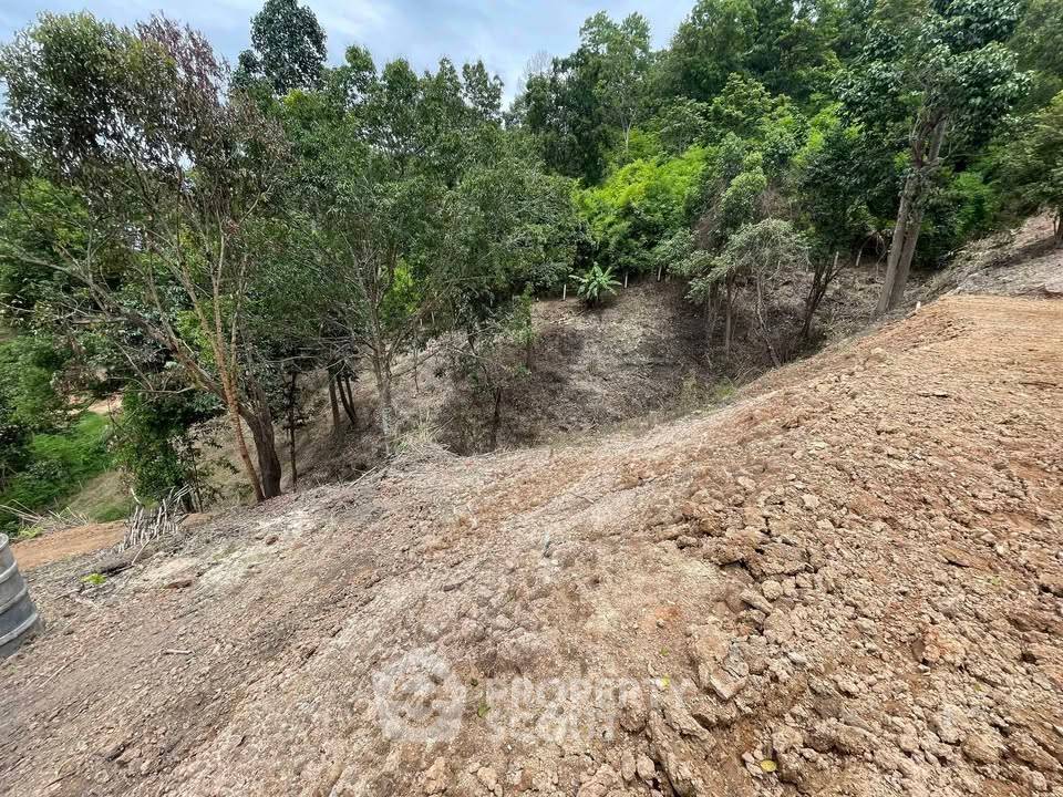 รูป ที่ดินสำหรับปล่อยขาย 8,000 ตารางเมตร แถว ใน แม่แรม (ID 2605472) - รูปที่ 2/6