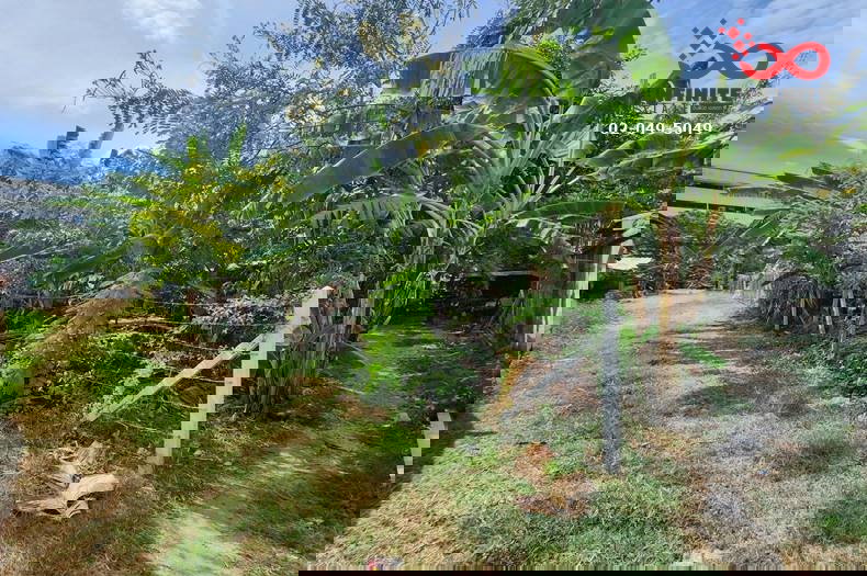 รูป ขายที่ดิน ต่ำกว่าราคาประเมิน 294 ตร.ว. ซอยพหลโยธิน 48 บางเขน แปลงสวย ใกล้รถไฟฟ้า - รูปที่ 3/5