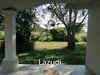 listing thumbnail image 60