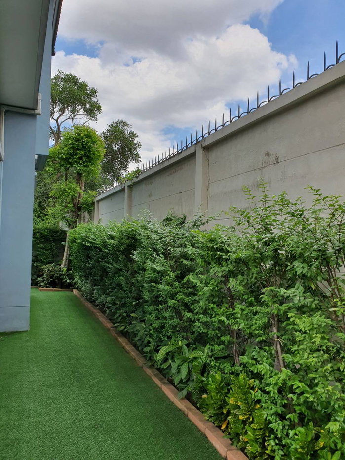 รูป ให้เช่าบ้านเดี่ยว ไลฟ์ บางกอก บูเลอวาร์ด รามอินทรา 65 (53 ตร.ว.) 4 นอน 3 น้ำ แปลงหน้าสวน พร้อมอยู่ - รูปที่ 16/56