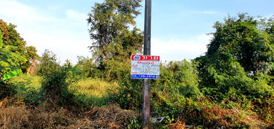 Land for sale Vajiravudh College : Land for sale in Khlong Yong, 210 square wah, Phutthamonthon, Nakhon Pathom. Can be sold in smaller plots.
