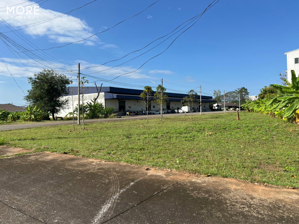 รูป ขาย ที่ดินพร้อมสิ่งปลูกสร้าง บ้านถวาย หางดง 9  ไร่ 3 งาน 62 ตารางวา (ID:275LS)  - รูปที่ 7/34