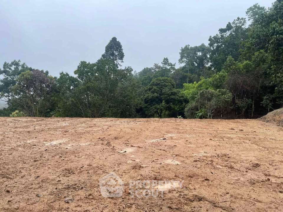 รูป ที่ดินสำหรับปล่อยขาย 8,000 ตารางเมตร แถว ใน แม่แรม (ID 2605472) - รูปที่ 4/6