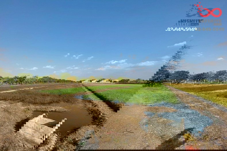 รูป ขายที่ดิน 6 ไร่ ลาดหลุมแก้ว ปทุมธานี ถนนบางบัวทอง-สุพรรณบุรี 340 ซอยคลองโซน 6 - รูปที่ 1/5