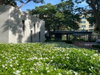 listing thumbnail image 19