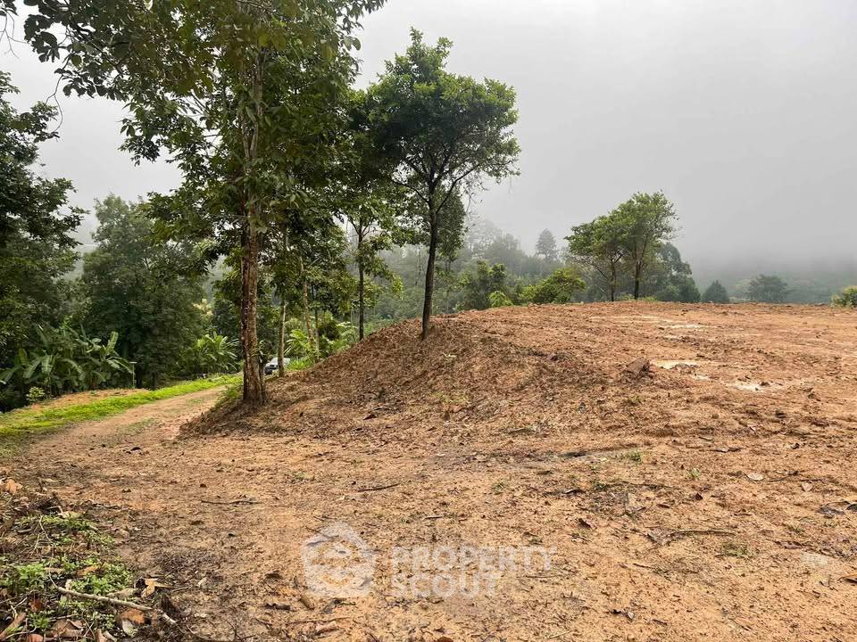 รูป ที่ดินสำหรับปล่อยขาย 8,000 ตารางเมตร แถว ใน แม่แรม (ID 2605472) - รูปที่ 5/6