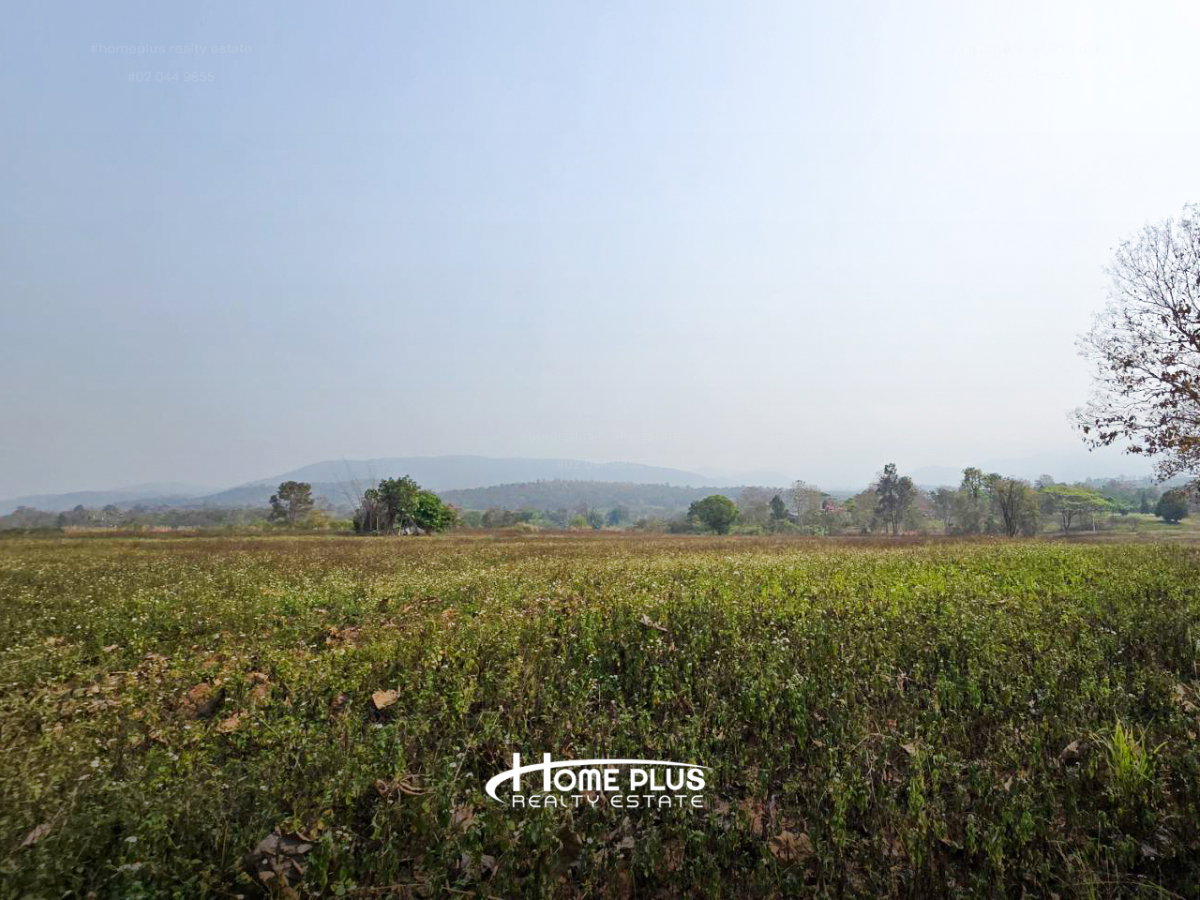 รูป ที่ดินวิวภูเขา ม่อนน้ำล้อม อำเภอแม่แตง เชียงใหม่ - รูปที่ 10/13