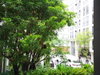 listing thumbnail image 4