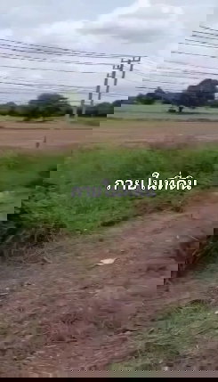 รูป ขายที่ดิน 24ไร่ ติดถนนสายเอเซียฝั่งขาเข้า กทม ไร่ละ 2.9 ล้าน - รูปที่ 3/8