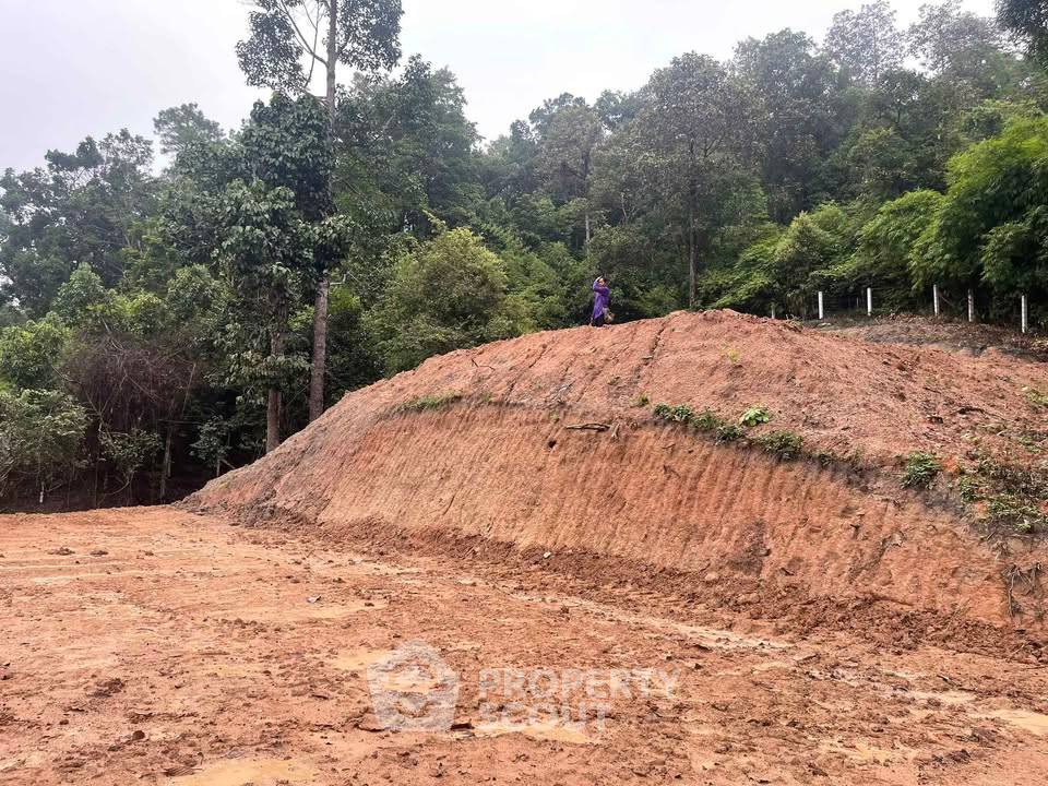 รูป ที่ดินสำหรับปล่อยขาย 8,000 ตารางเมตร แถว ใน แม่แรม (ID 2605472) - รูปที่ 3/6