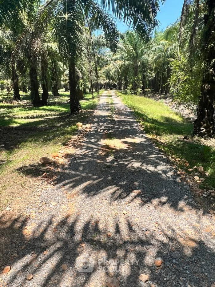 รูป ที่ดินสำหรับปล่อยขาย 233,600 ตารางเมตร แถว ใน สินเจริญ (ID 2640314) - รูปที่ 1/7