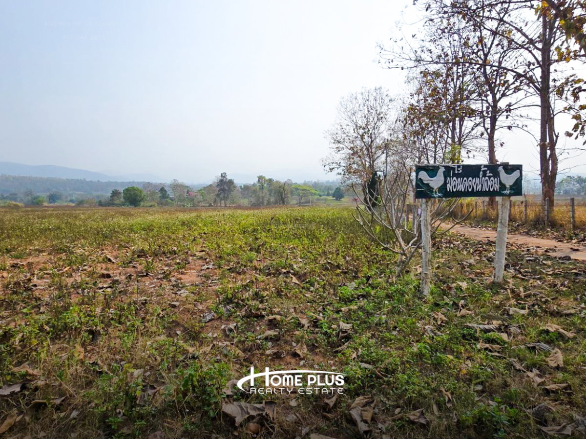 รูป ที่ดินวิวภูเขา ม่อนน้ำล้อม อำเภอแม่แตง เชียงใหม่ - รูปที่ 8/13