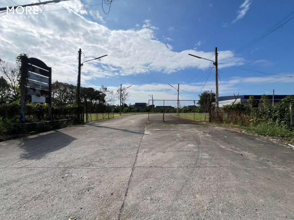 รูป ขาย ที่ดินพร้อมสิ่งปลูกสร้าง บ้านถวาย หางดง 9  ไร่ 3 งาน 62 ตารางวา (ID:275LS)  - รูปที่ 29/34