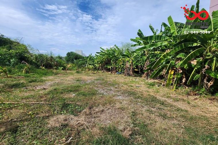 Land for sale, 294 sq wah, Bang Khen