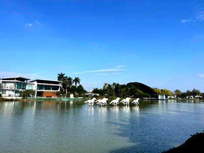 เช่าบ้านเดี่ยว นนทบุรี : ให้เช่าบ้านเดี่ยว สภาพใหม่ เพอร์เฟกเพลส รัตนาธิเบศร์ ใกล้ MRT สายสีม่วง เฟอร์ครบ 60 ตร.ว.