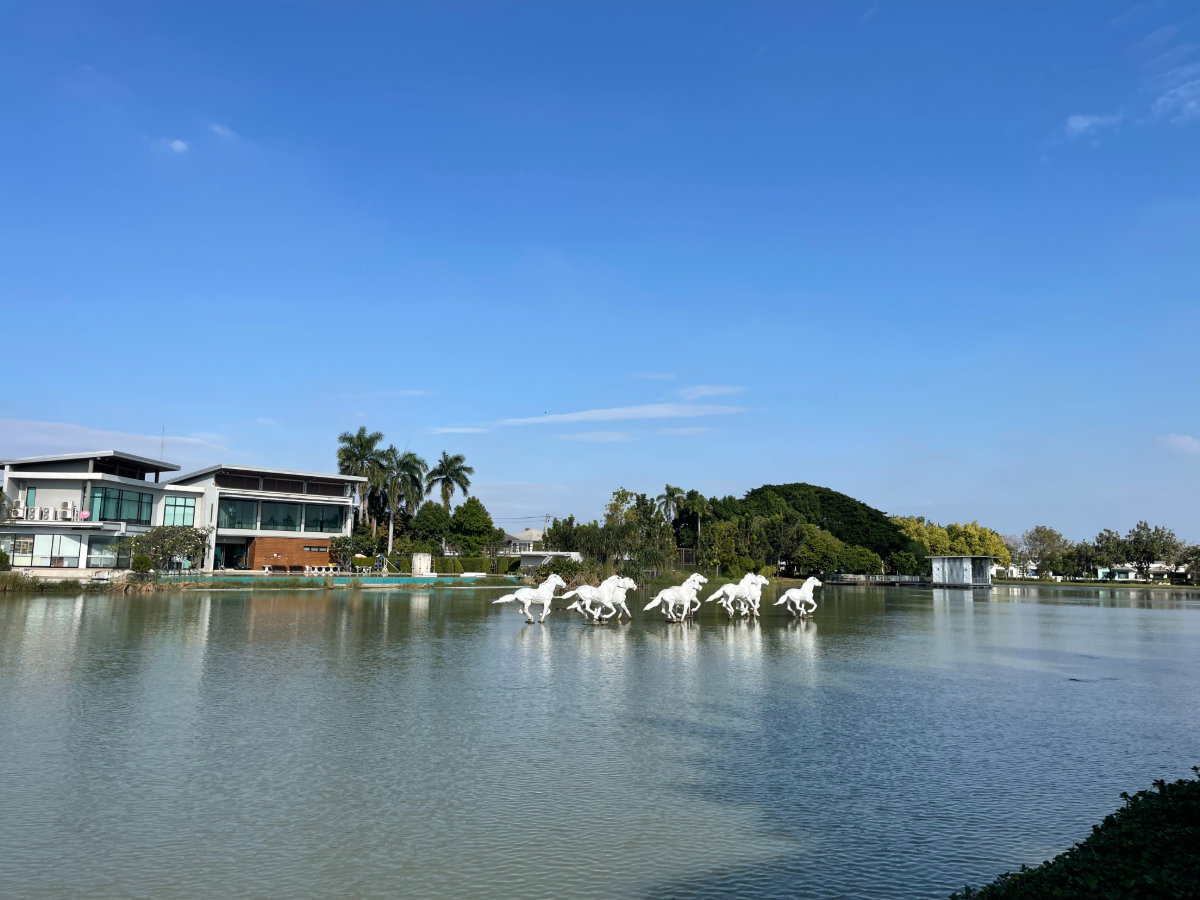 รูป ให้เช่าบ้านเดี่ยว สภาพใหม่ เพอร์เฟกเพลส รัตนาธิเบศร์ ใกล้ MRT สายสีม่วง เฟอร์ครบ 60 ตร.ว. - รูปที่ 1/18