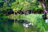 listing thumbnail image 39
